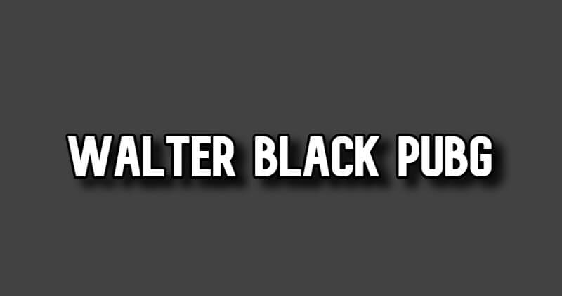 Walter Black PUBG Mobile Mod Apk