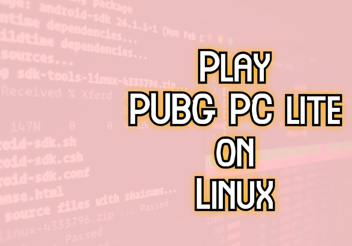 How to play PUBG PC lite on Linux